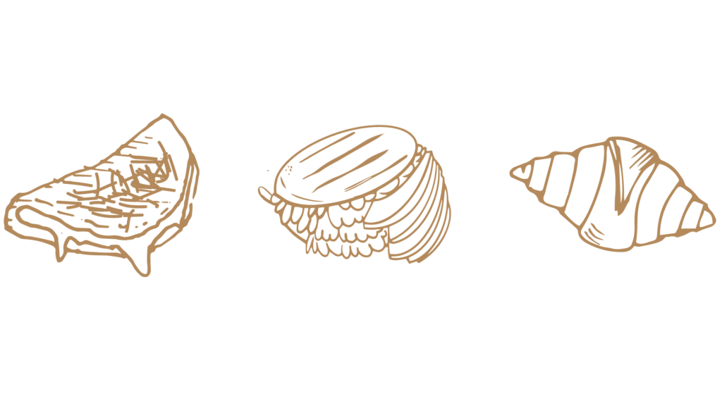 illustraciones website